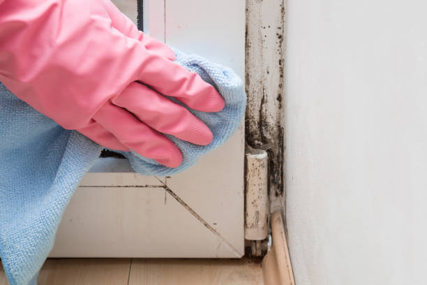 Best Industrial Mold Remediation in Weaver, AL